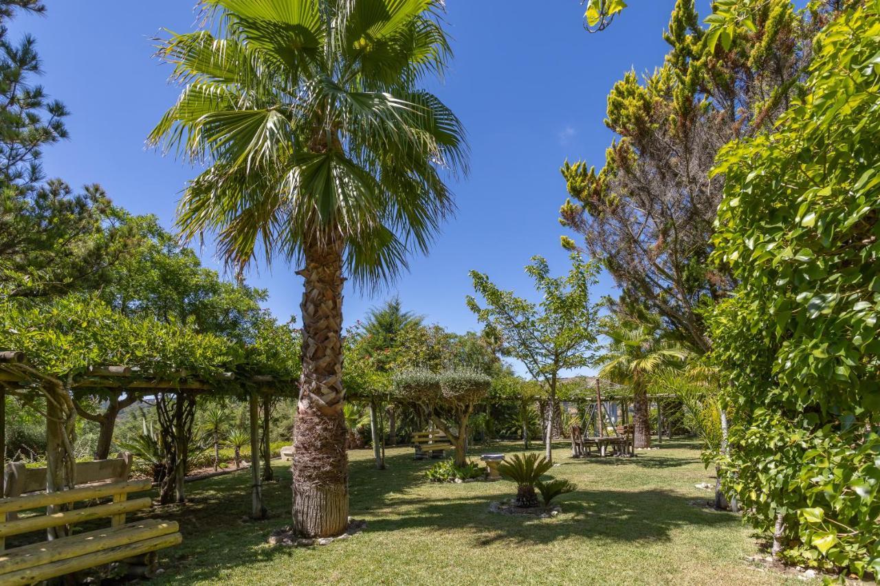 Quinta Do Monte Das Abelhas - La Venus De Lisbonne Calhandriz Zewnętrze zdjęcie