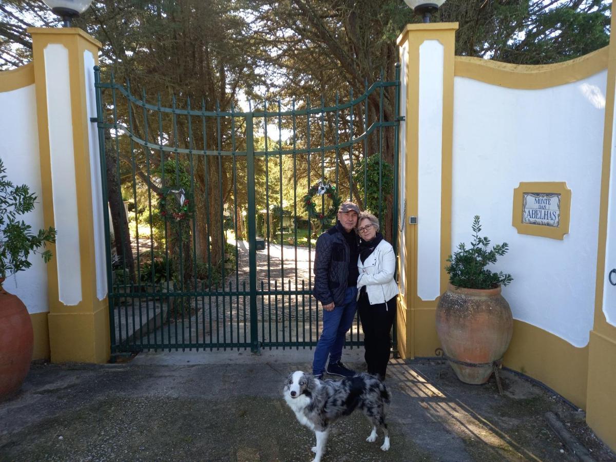 Quinta Do Monte Das Abelhas - La Venus De Lisbonne Calhandriz Zewnętrze zdjęcie