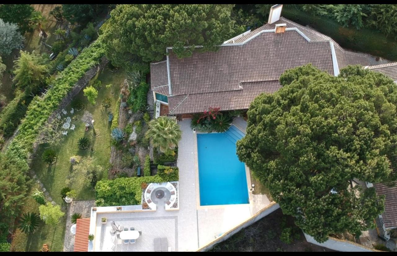 Quinta Do Monte Das Abelhas - La Venus De Lisbonne Calhandriz Zewnętrze zdjęcie